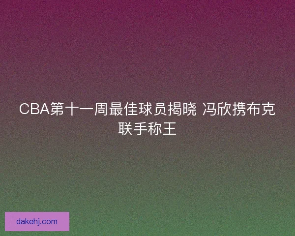 CBA第十一周最佳球员揭晓 冯欣携布克联手称王
